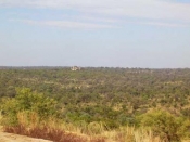 Africa